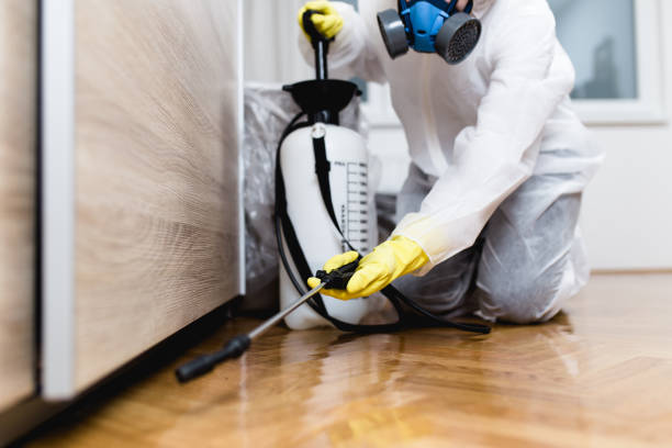 Best Pest Control for Homes  in Center, CO