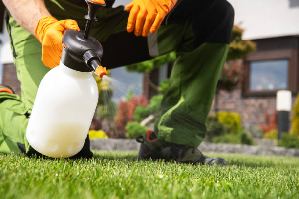 Best Mosquito Control Services  in Center, CO