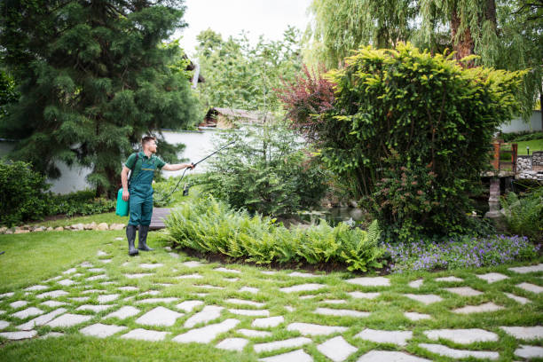 Best Best Pest Control Near Me  in Center, CO