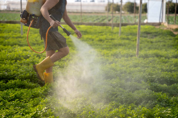 Best Local Pest Control Services  in Center, CO