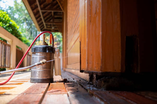 Best Termite Control Services  in Center, CO