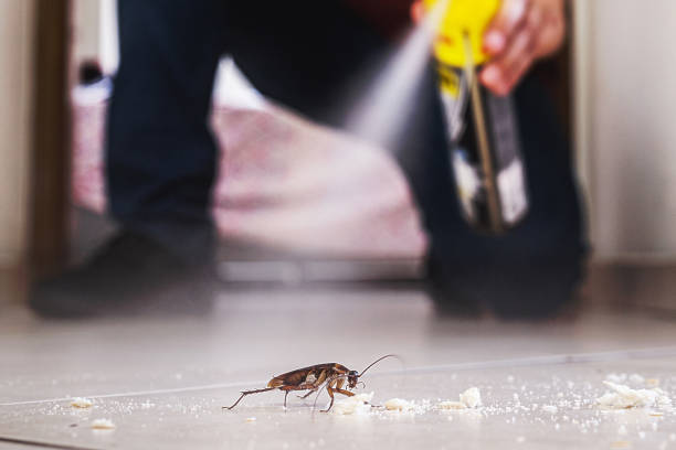 Pest Control for Restaurants in Center, CO