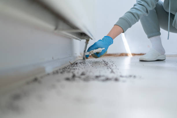 Best Insect Control  in Center, CO