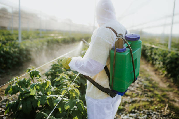 Best Affordable Pest Control Services  in Center, CO